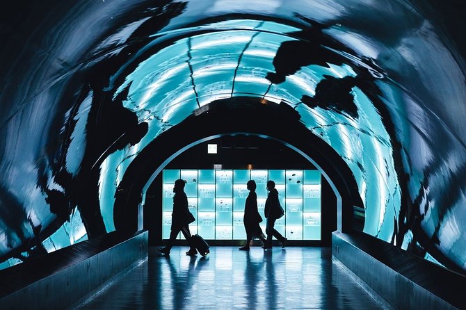Paris Private transfer Orly Airport to Paris City - The Ride Itself: Air-Conditioned Comfort and a More Relaxed Arrival