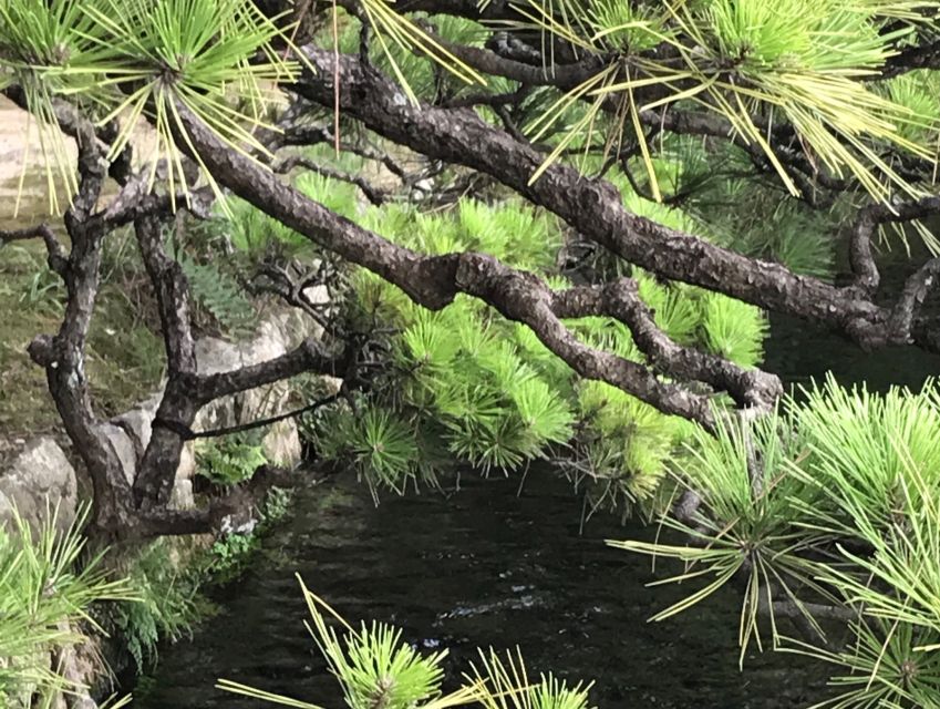 Paris Secret Gardens 1.30 hour long Walking Tour - “Secret” squares and hidden retreats: what to expect on the ground