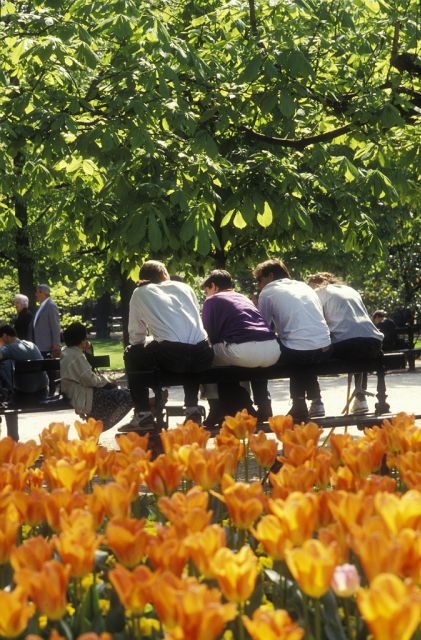 Paris Secret Gardens 1.30 hour long Walking Tour - Pacing and what to wear: the practical stuff that makes or breaks it