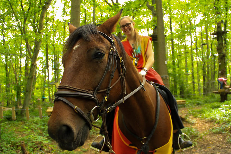 Paris : Sherwood Parc - Biggest Adventure Park Entry Ticket - Safety First: Harnesses, Helmets, and Rules You Must Follow