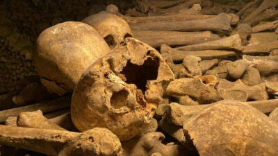 Paris: Small-Group Catacombs Tour with Skip-the-Line Entry - The 133-step descent and the limestone quarry chapter
