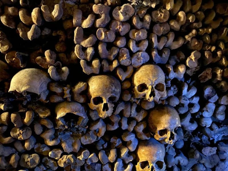Paris: Small-Group Catacombs Tour with Skip-the-Line Entry - Price, pace, and who this small-group format fits best