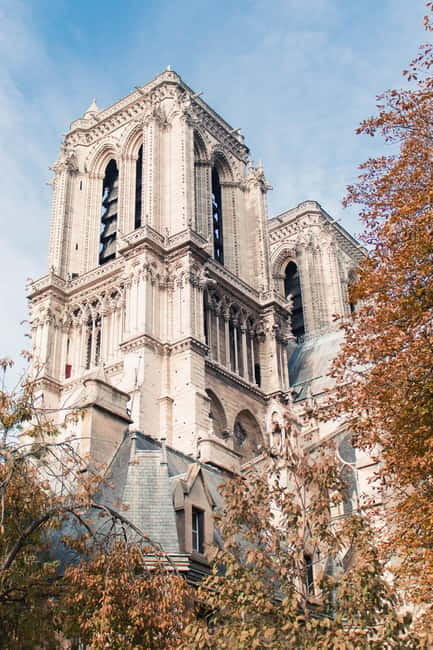 Paris: The vibrant city center and Le Marais - Practical tips so you enjoy every minute