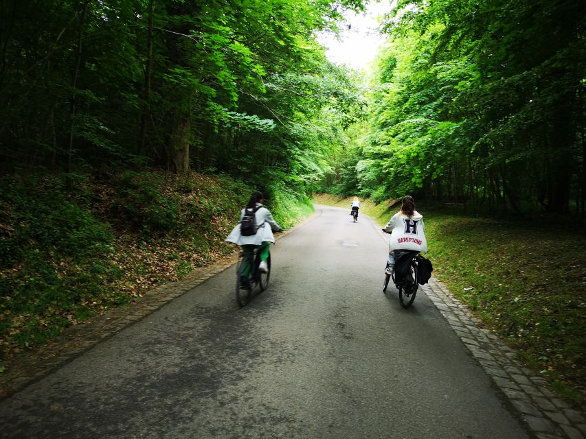 Paris: Versailles Palace and Queen Hamlet E-Bike Tour - Forest Roads and Parisian Villages: Fausses Reposes and Marnes-la-Coquette