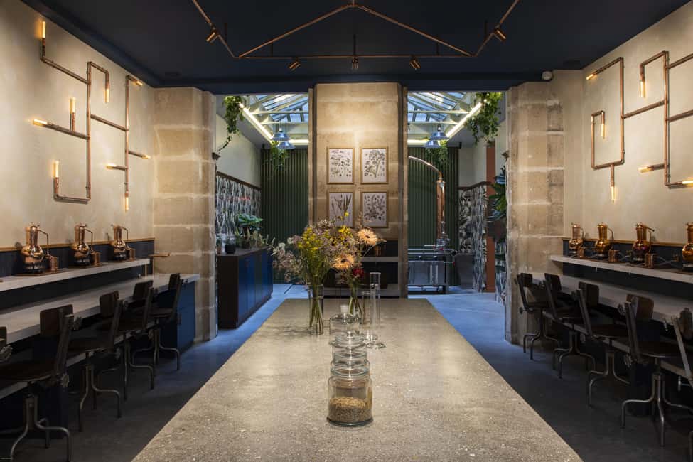 Paris Visit and gin tasting in English - Your one-hour flow: guided visit, gin story, and a tasting finish