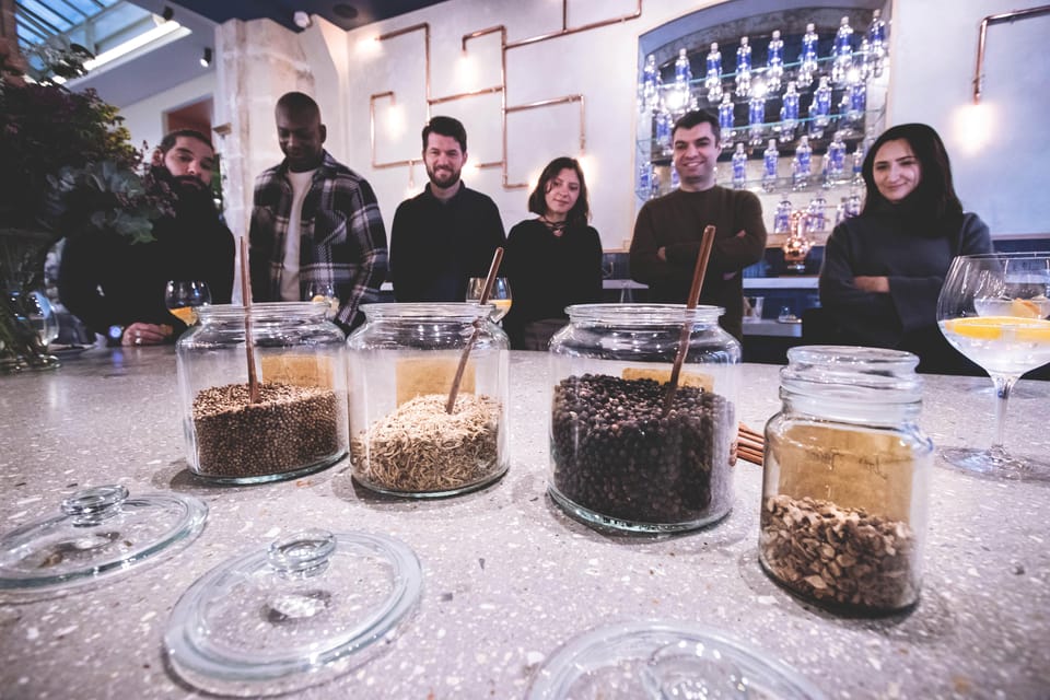 Paris Visit and gin tasting in English - Who this is for (and who should skip it)