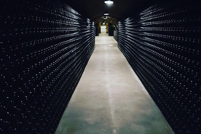 Paris Wine Day Tours exclusive Champagne tour incl. 3 visits - Should You Book This Champagne Tour?