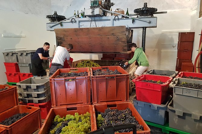 Paris Wine Day Tours exclusive Champagne tour incl. 3 visits - Epernay Cellars: Short Time, Big Payoff in How Champagne Gets Made