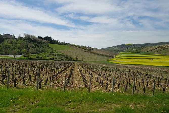 Paris Wine Day Tours exclusive wine tour in the Sancerre area - Key highlights that make this day trip work