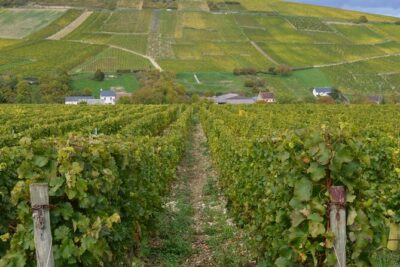 Paris Wine Day Tours exclusive wine tour in the Sancerre area - Small-group Sancerre and Pouilly: why the group size matters
