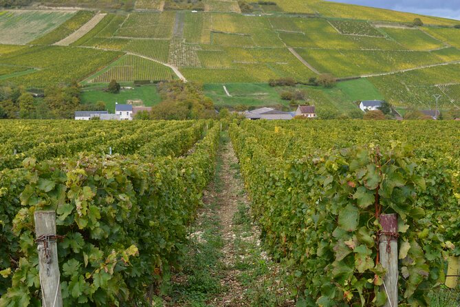 Paris Wine Day Tours exclusive wine tour in the Sancerre area - Small-group Sancerre and Pouilly: why the group size matters