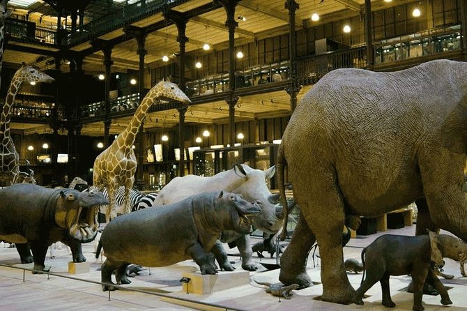 Paris With Kids - A Private Family Experience - Transport and meeting points: less friction, more motion control