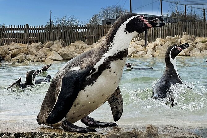 Parrot World Immersive Wildlife Park Entry Ticket next to Paris - Getting There: 45 Minutes From Central Paris, Easy Day Add-On