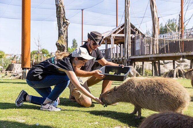 Parrot World Immersive Wildlife Park Entry Ticket next to Paris - The Amazonia and Patagonia Treks: Why Two Routes Feel Easier Than One