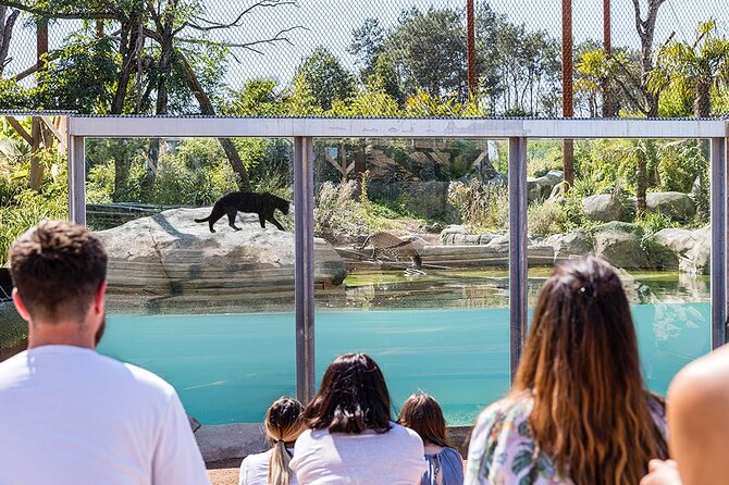 Parrot World Immersive Wildlife Park Entry Ticket next to Paris - About 80 Species From South America: How to Spot Animals Without Getting Rushed