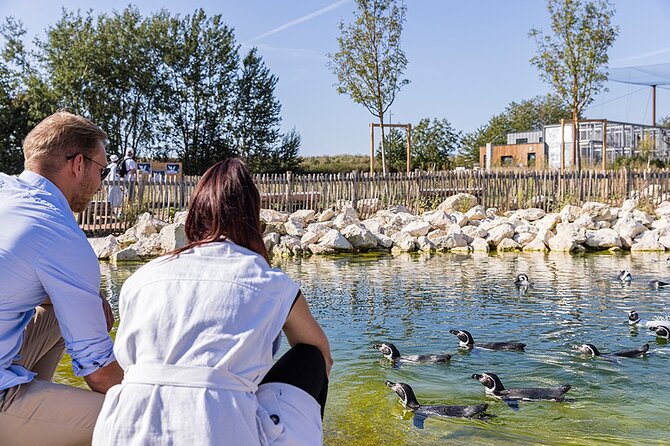 Parrot World Immersive Wildlife Park Entry Ticket next to Paris - Kids, Picnic Breaks, and Food Choices: The Best Part for Families