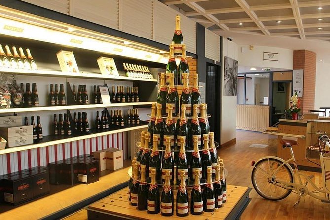Private 10-hour round transfer to Champagne Epernay from Paris. Best offer! - Epernay: Champagne capital time with Moët & Chandon and Mercier in view