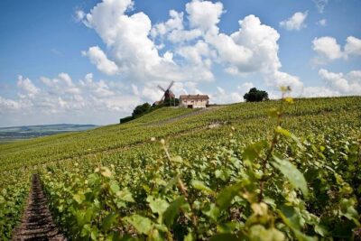 Private 10-hour round transfer to Champagne Epernay from Paris. Best offer! - Reims: Veuve Clicquot, Pommery’s Pressoria, and the cathedral backdrop