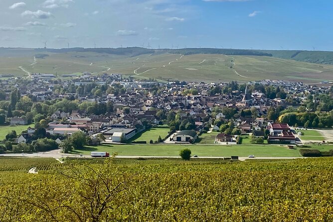 Private Burgundy 3 Domaines Chateau Pommard Chablis 15 Wines Trip - Free time in Chablis: lunch options and how to use your hour