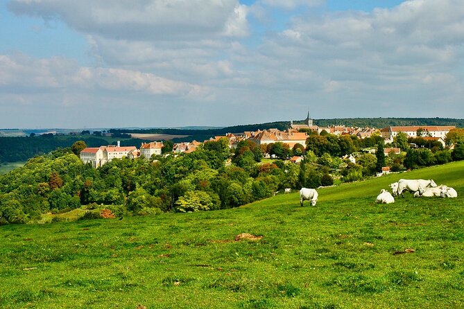 Private Burgundy 3 Domaines Chateau Pommard Chablis 15 Wines Trip - Transport, pacing, and what to pack so you enjoy it