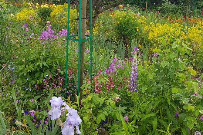 Private Car Trip to Giverny Garden from Paris - Clos Normand: gardens, water views, and self-guided magic