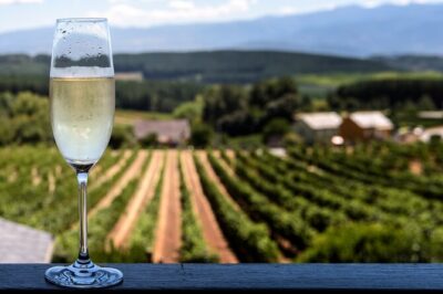 Private Champagne Day Trip - Two Vineyards of Reims & Lunch - Vineyard day, not just tastings: two visits with different flavors of champagne culture