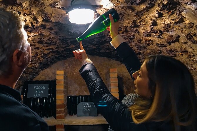 Private Champagne Day Trip - Two Vineyards of Reims & Lunch - Who this Reims champagne day trip fits best