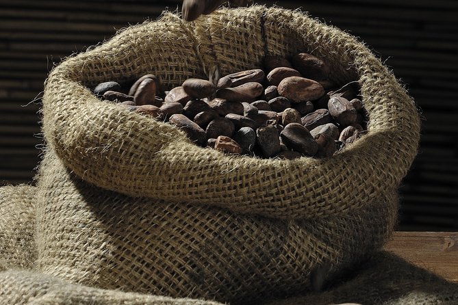 Private Dark Chocolate Tasting Tour in Paris - The 2-hour dark chocolate lesson plus tasting session