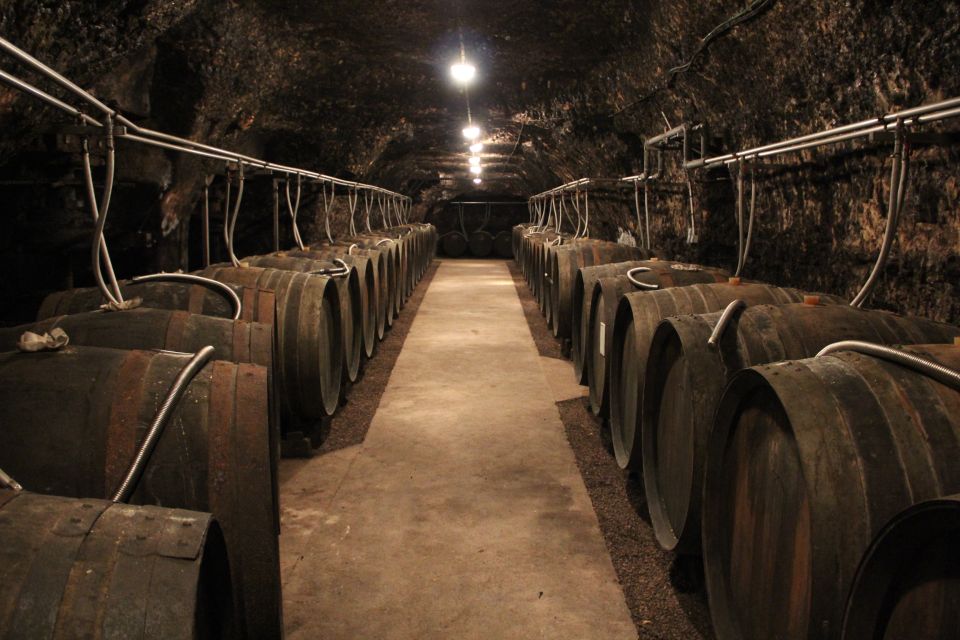 Private Day Tour to Loire Valley Castles & Wines from Paris - How to Taste Smarter: My Practical Sip Strategy for a Full Wine Day