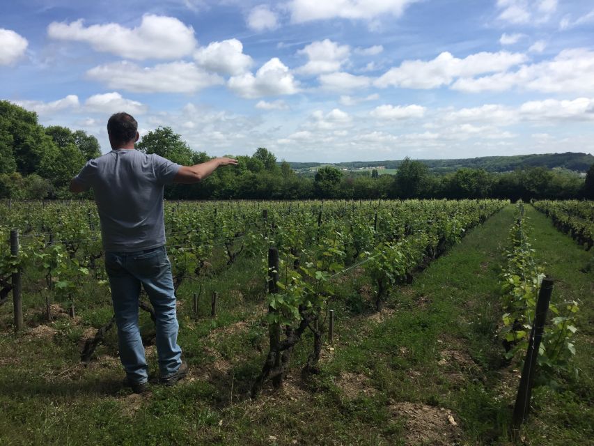 Private Day Tour to Loire Valley Castles & Wines from Paris - Who This Loire Day Trip Fits Best