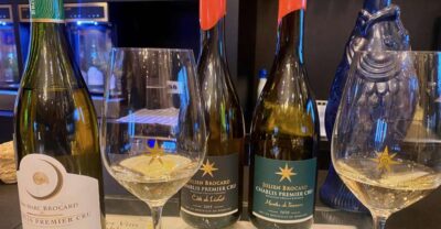 Private Exquisite Red & White Burgundy Wines Trip from Paris - Pickup, Mercedes comfort, and the pace that matters