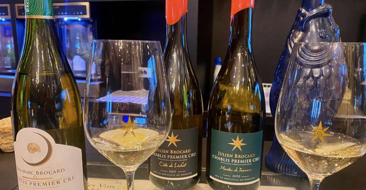 Private Exquisite Red & White Burgundy Wines Trip from Paris - Pickup, Mercedes comfort, and the pace that matters