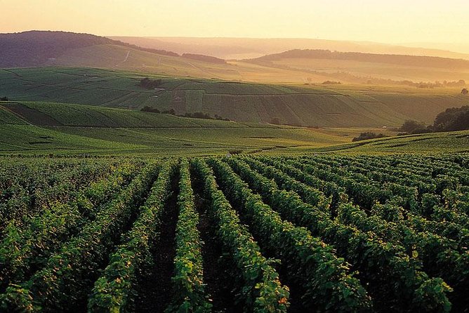 Private Full-Day Tour of Champagne Region - Key points to know before you go