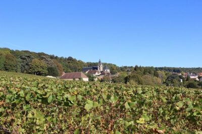 Private Full-Day Tour of Champagne Region - Stop 1: Champagne house tasting on the Montagne de Reims