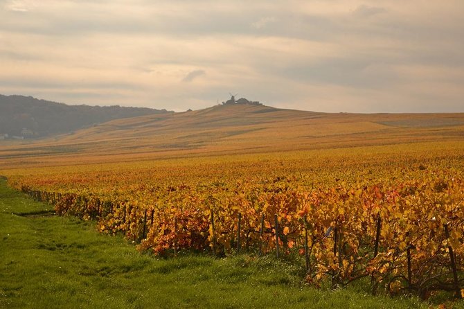 Private Full-Day Tour of Champagne Region - Stop 3: Hautvillers village life and Dom Pérignon’s story