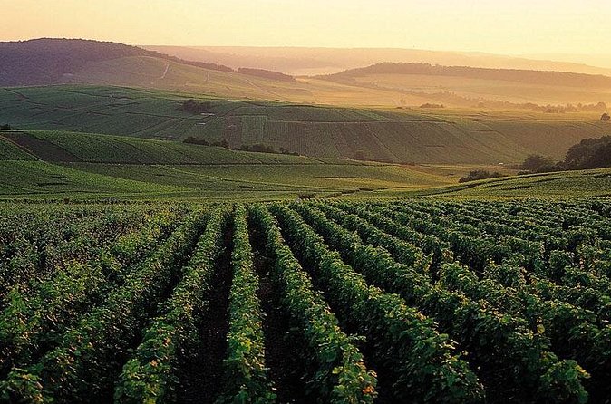 Private Full-Day Tour of Champagne Region - The smaller producer tasting: why this second sip matters