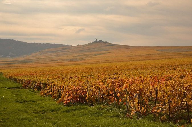 Private Full-Day Tour of Champagne Region - What I’d plan before you go