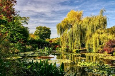 Private Giverny Monet’s House & Gardens Half-Day Tour from Paris - The Mercedes Ride: Comfort Matters on a 1.5-Hour Hop