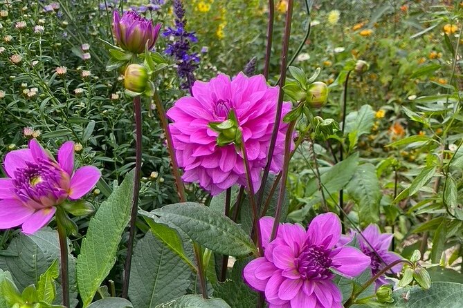 Private Giverny Roundtrip and Entrance Ticket from Paris - Inside Monet’s house: how to make the most of limited time