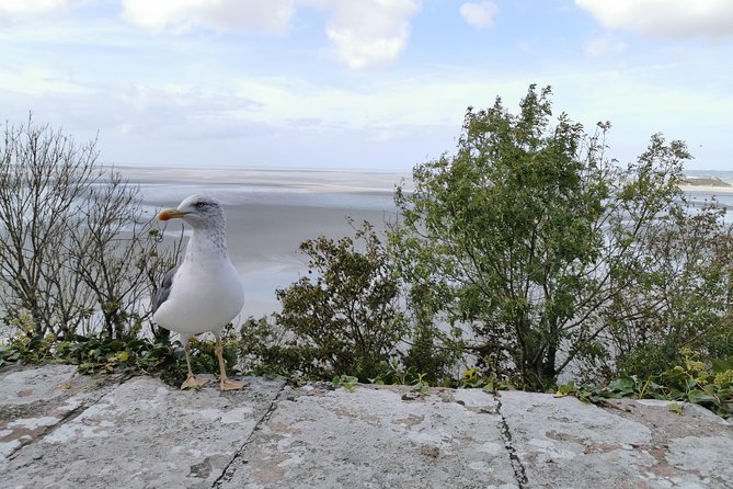 Private Guided Day Tour of Mont St-Michel from Paris - Fortifications and Defensive Ramparts: The Other Side of the Mont
