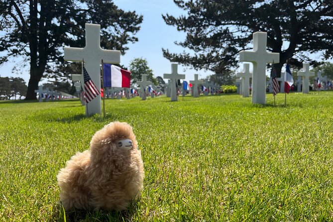 Private Guided Mont Saint Michel & D-day tour from Paris - Normandy American Cemetery: the scale, the symbols, and the concrete defenses
