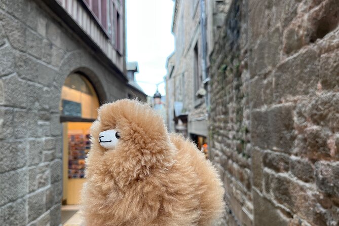 Private Guided Mont Saint Michel & D-day tour from Paris - The pacing truth: you’ll see a lot, so prioritize what you care about
