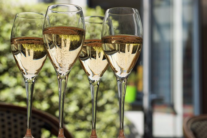 Private Guided Tour in Champagne from Paris with Moet&Chandon visit. - Paris to Champagne: the point of doing it private