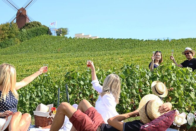 Private Guided Tour in Champagne from Paris with Moet&Chandon visit. - The vineyard promenade: how the vine’s cycle shapes the wine