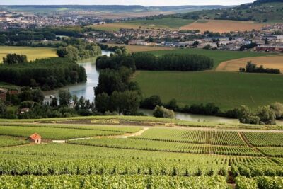 Private Guided Tour in Champagne from Paris with Moet&Chandon visit. - Chatillon-sur-Marne: an independent winemaker and three cuvées
