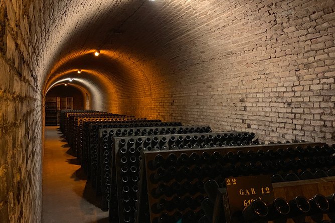 Private Guided Tour in Champagne from Paris with Moet&Chandon visit. - Epernay and Avenue de Champagne: UNESCO prestige with a guided story