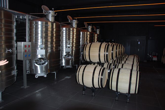 Private Guided Tour in Champagne from Paris with Moet&Chandon visit. - Moët & Chandon: Gallo-Roman cellars and two tasting cuvées