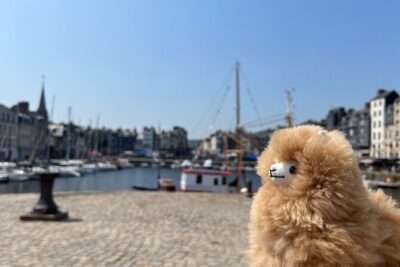 Private Guided Tour In Normandy - Rouen, Honfleur, Etretat - Étretat’s Chalk Cliffs: Where the Walking Time Feels Worth It