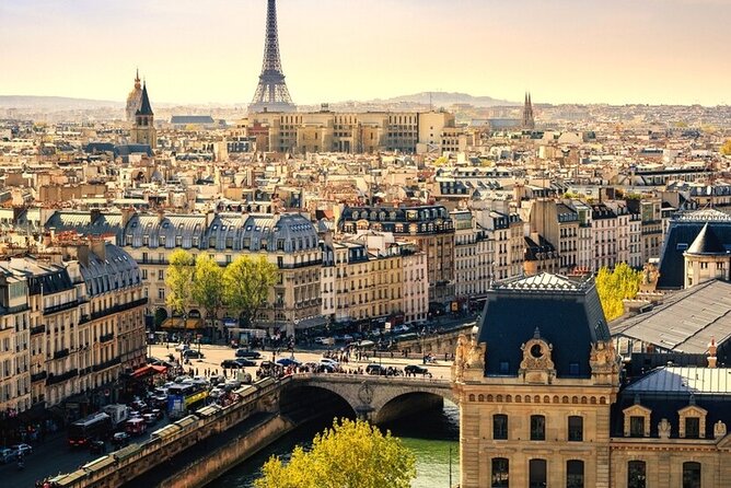 Private Half-Day Guided Tour of Paris - A private driver circuit that saves your feet