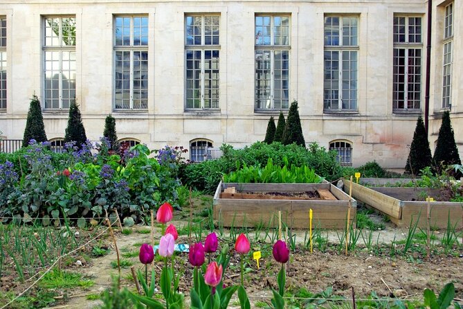 Private Half Day Historic Tour - Latin Quarter Cobblestones and Place Saint-Michel Clarity